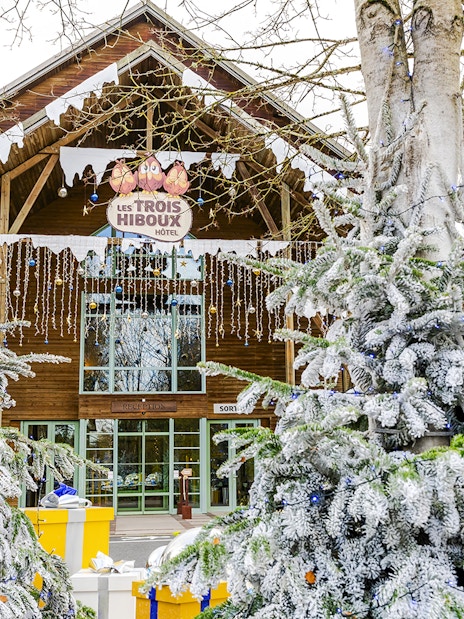 Parc Asterix Les Trois Hiboux Hotel decorated for Christmas with snow-covered trees.