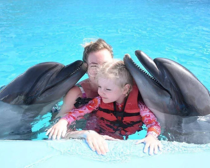 Premium 5 Minutes Dolphin Swimming Experience - Hurghada
