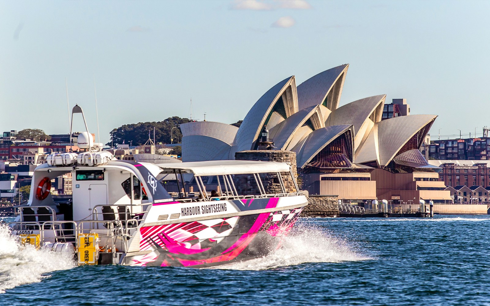 Whale Watching Express Cruise in Syndey Harbour