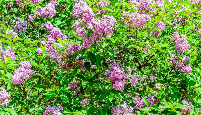 Fitness centre at Therme Bucharest