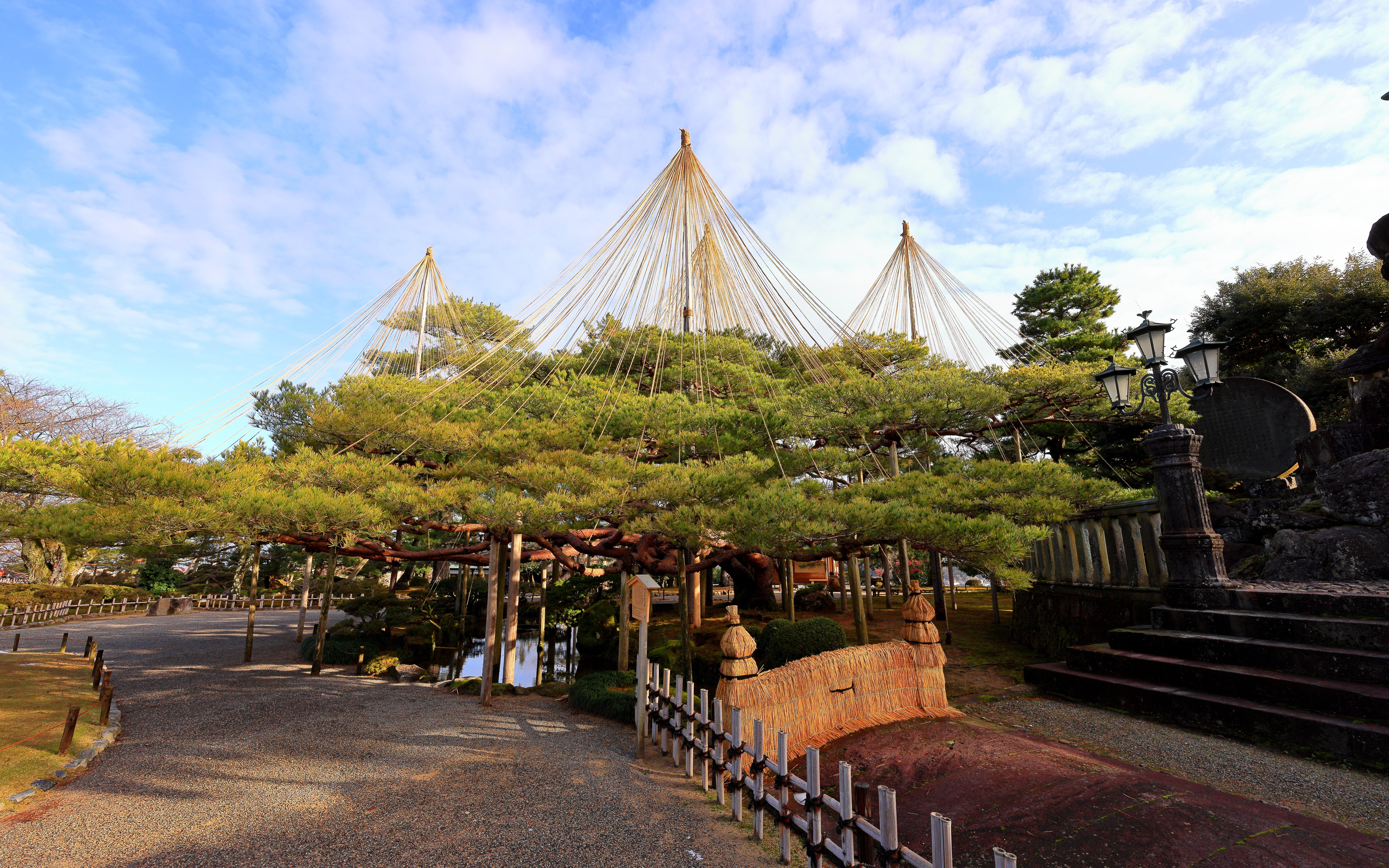 Kenroku-en garden in Kanazawa, Japan, featuring yukitsuri ropes over pine trees.