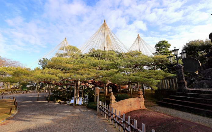 Kenroku-en garden in Kanazawa, Japan, featuring yukitsuri ropes over pine trees.