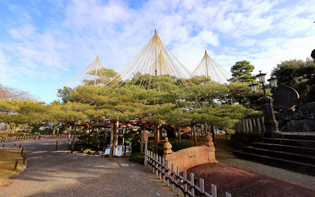 Kenroku-en garden in Kanazawa, Japan, featuring yukitsuri ropes over pine trees.