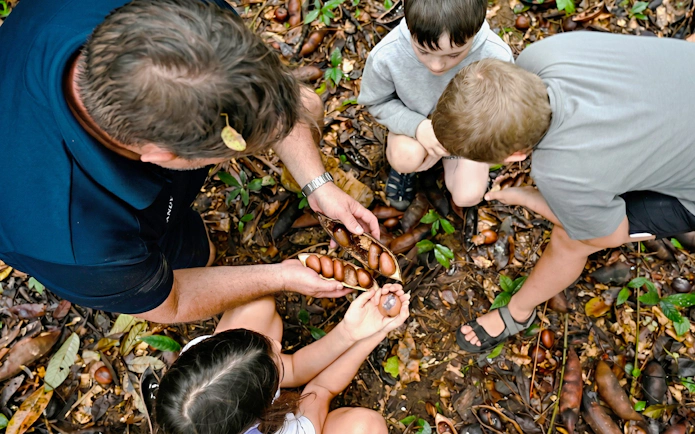 Kids examining seeds with guide in Daintree Rainforest tour.