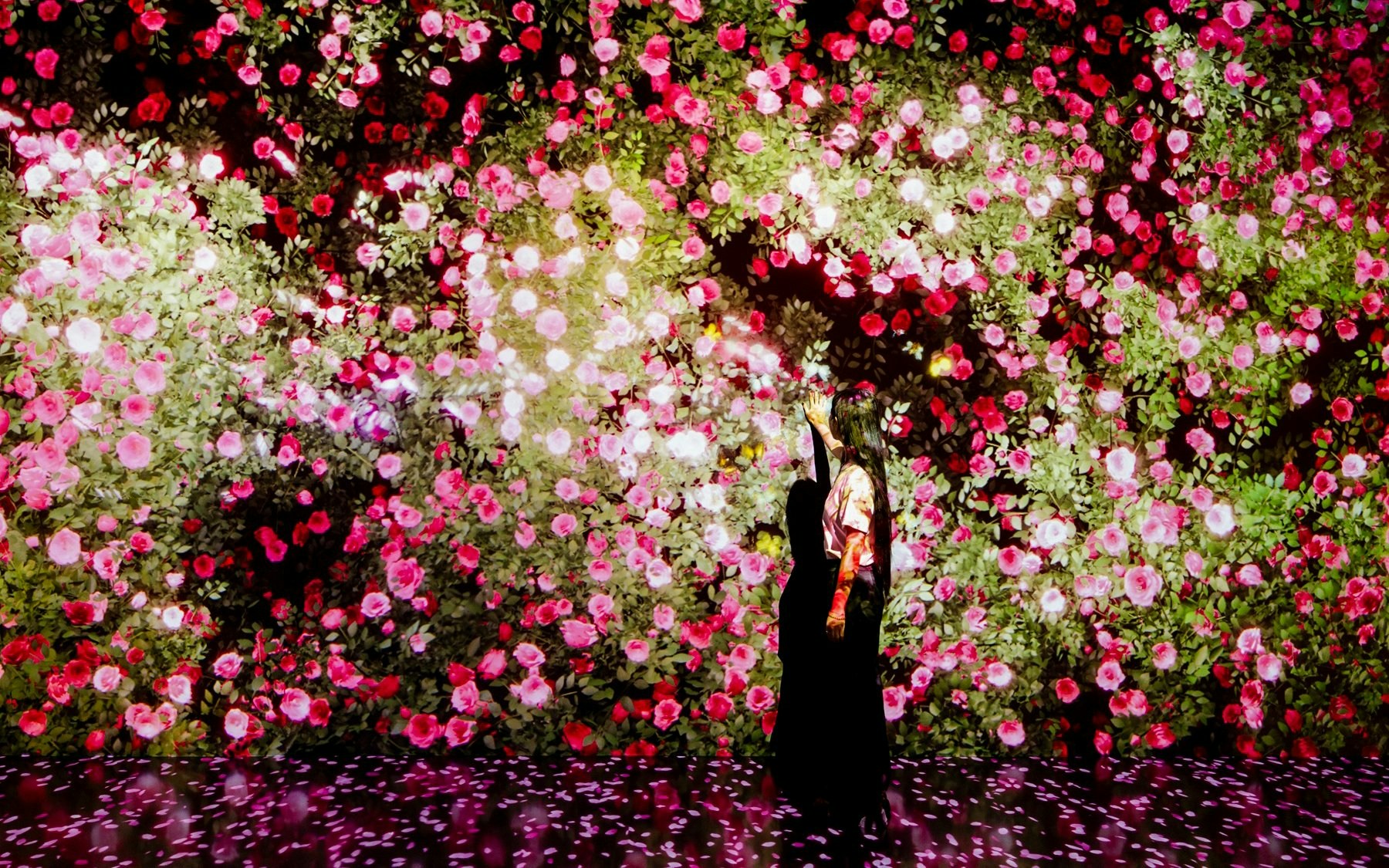 Visitor interacting with digital rose display at Arte Museum, New York.