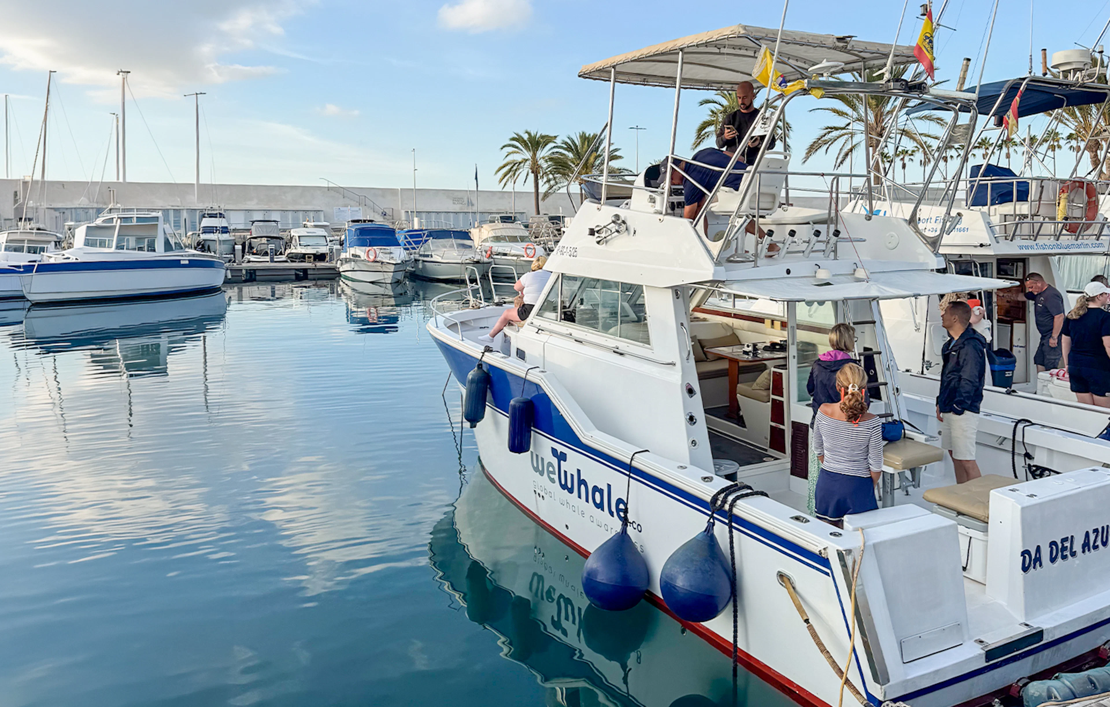 Tourist boat preparing for dolphin and whale watching in Gran Canaria marina.