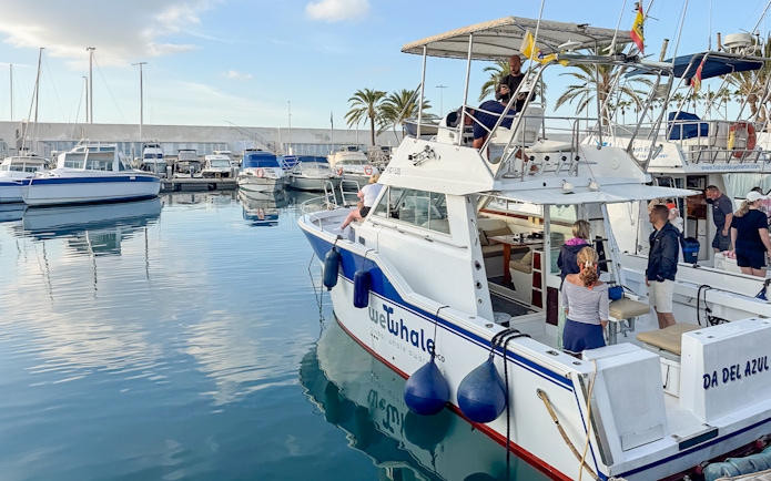 Tourist boat preparing for dolphin and whale watching in Gran Canaria marina.