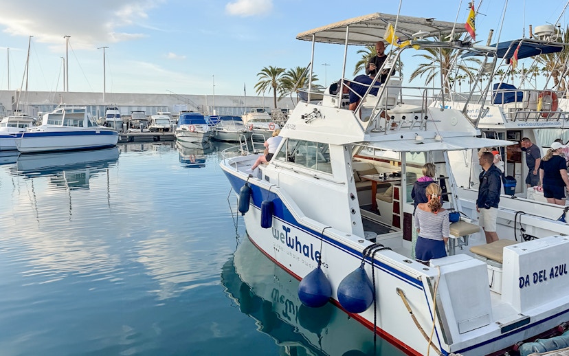 Tourist boat preparing for dolphin and whale watching in Gran Canaria marina.