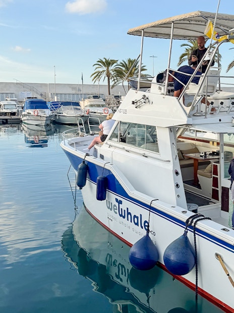 Tourist boat preparing for dolphin and whale watching in Gran Canaria marina.