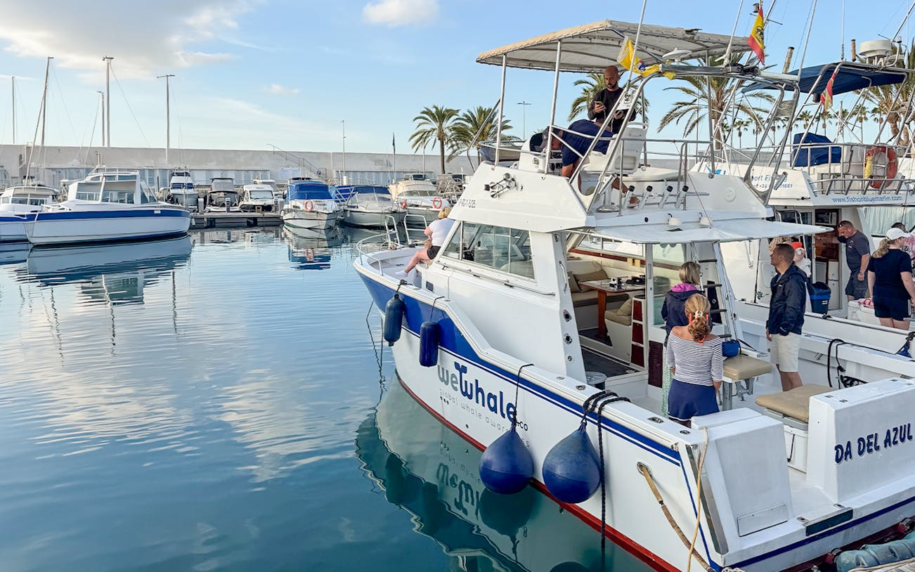 Tourist boat preparing for dolphin and whale watching in Gran Canaria marina.