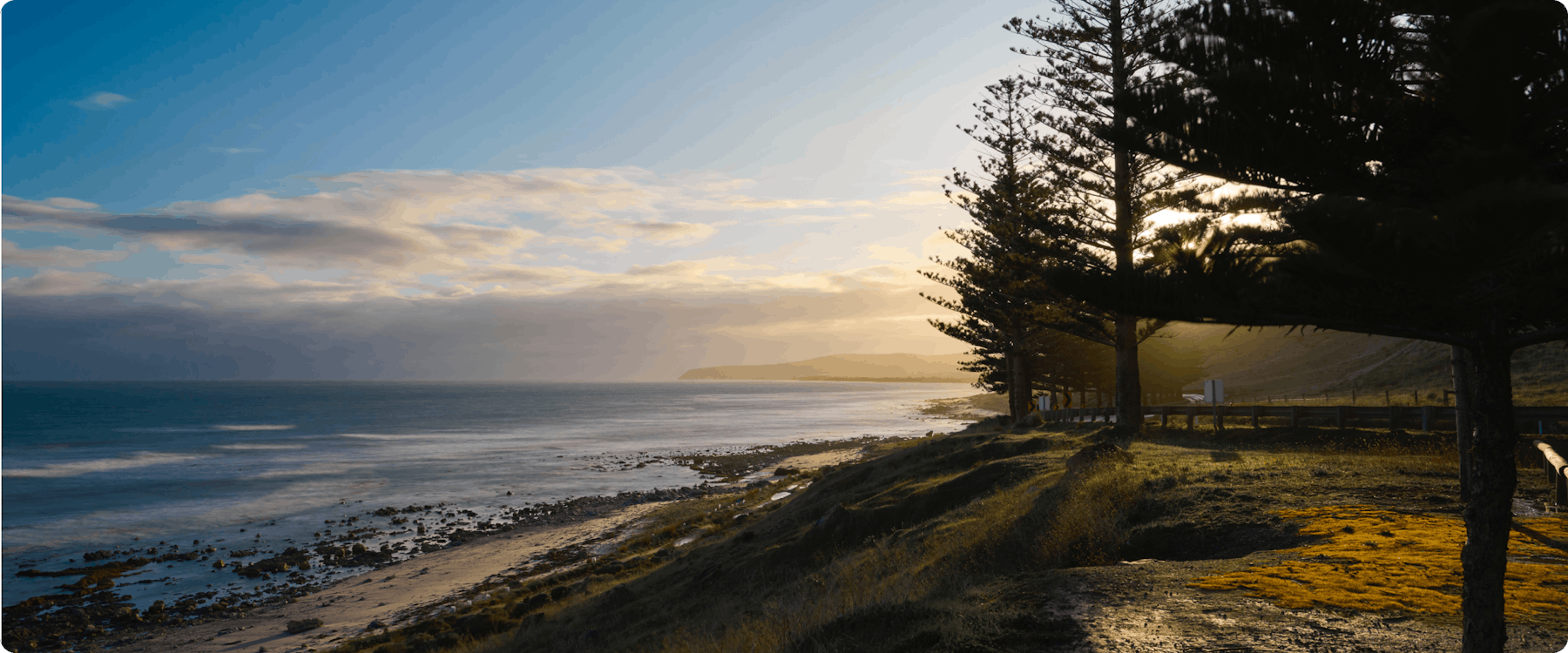 Coastal view with trees and ocean at sunset near Hobart, Tasmania.