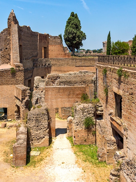 Roman Forum ruins with ancient brick structures and Palatine Hill in Rome.