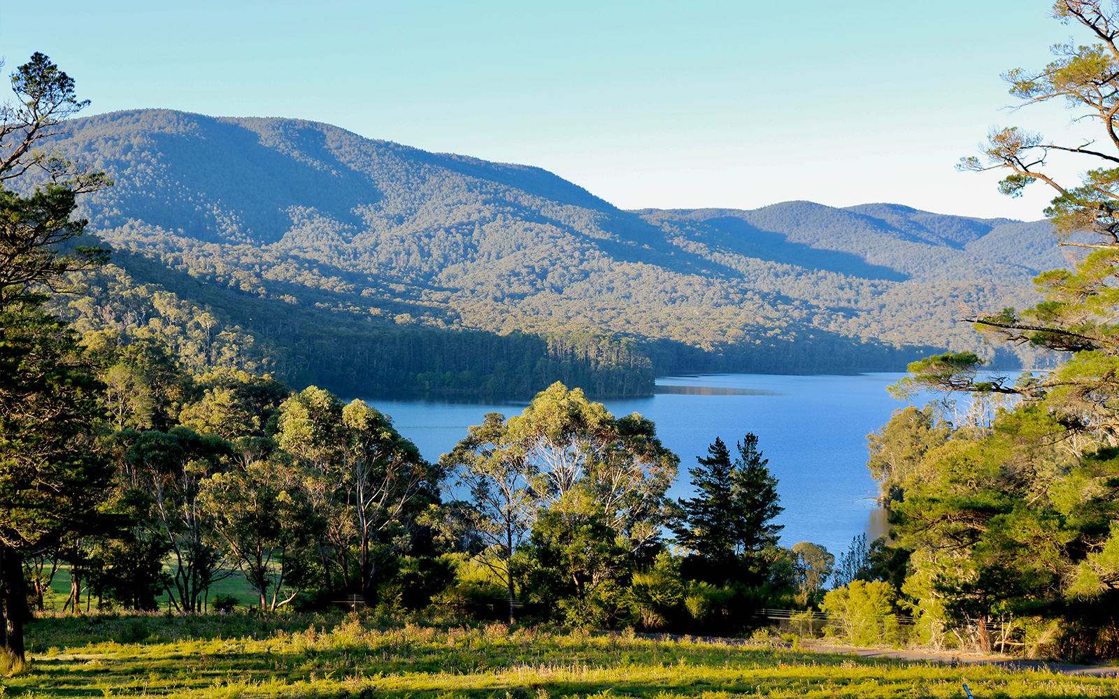 yarra Valley vineyards, Melbourne