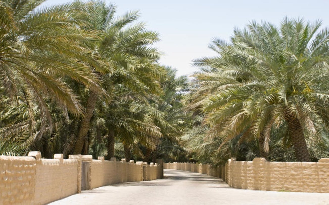 testing ain city tour from abu dhabi-3