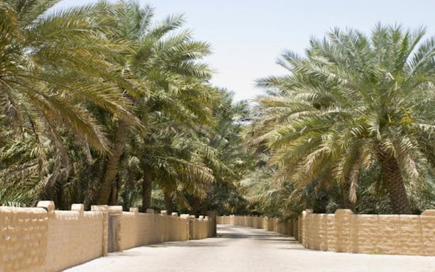 testing ain city tour from abu dhabi-3