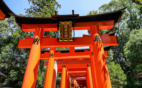 Torii gates at Fushimi Inari Shrine, Kyoto, during early morning walking tour.