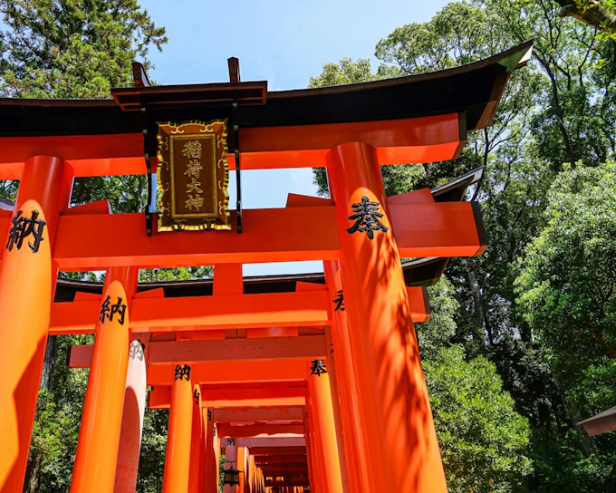 Kyoto Early Morning Walking Tour of Fushimi Inari Shrine and Tofukuji Temple