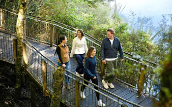 Group walking on a forest boardwalk during Milford Sound tour from Queenstown.