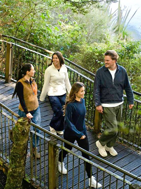 Group walking on a forest boardwalk during Milford Sound tour from Queenstown.