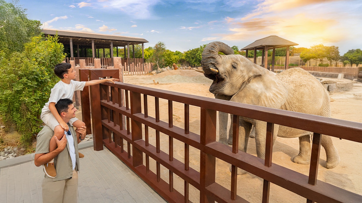 Father and son observing an elephant at Dubai Safari Park.