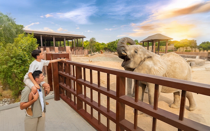 Father and son observing an elephant at Dubai Safari Park.