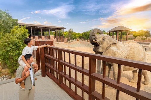 Entradas al Parque Safari de Dubai con Safari Explorador y Tren lanzadera