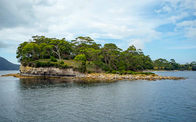 Port Arthur coastal landscape with rocky shoreline and lush greenery.