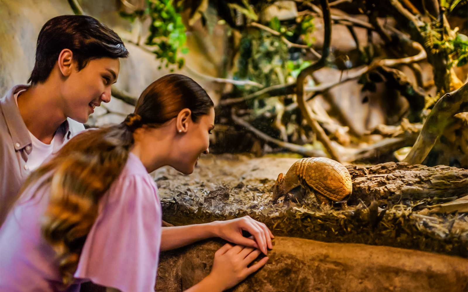 Visitors observing a three-banded armadillo on the Fishing Cat Trail.