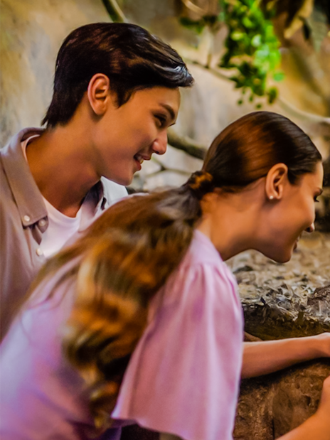 Visitors observing a three-banded armadillo on the Fishing Cat Trail.