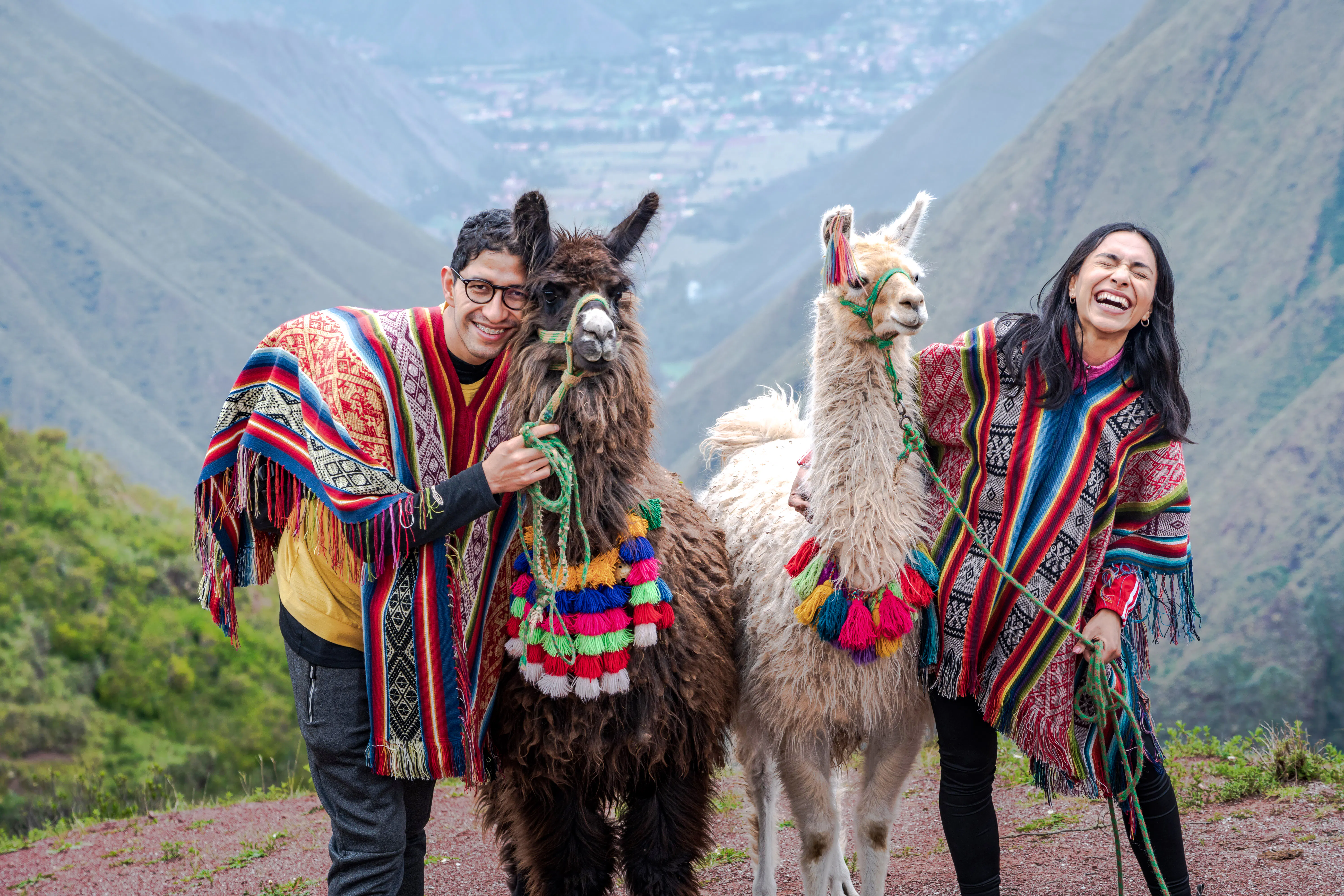 Cusco Small-Group Llama and Alpaca Walk in the Sacred Valley with Round-Trip Transfers and Picnic Lunch Image 3