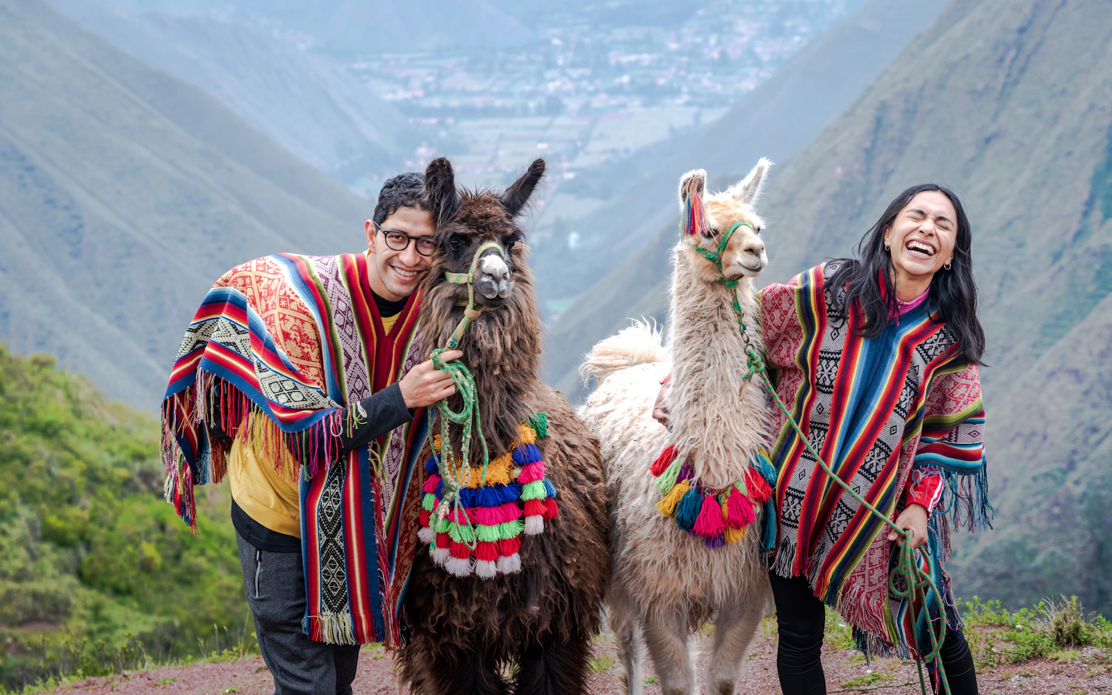 Cusco Small-Group Llama and Alpaca Walk in the Sacred Valley with Round-Trip Transfers and Picnic Lunch Image 3