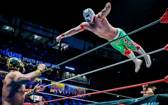 Wrestler in mid-air during Lucha Libre match in Mexico City arena.