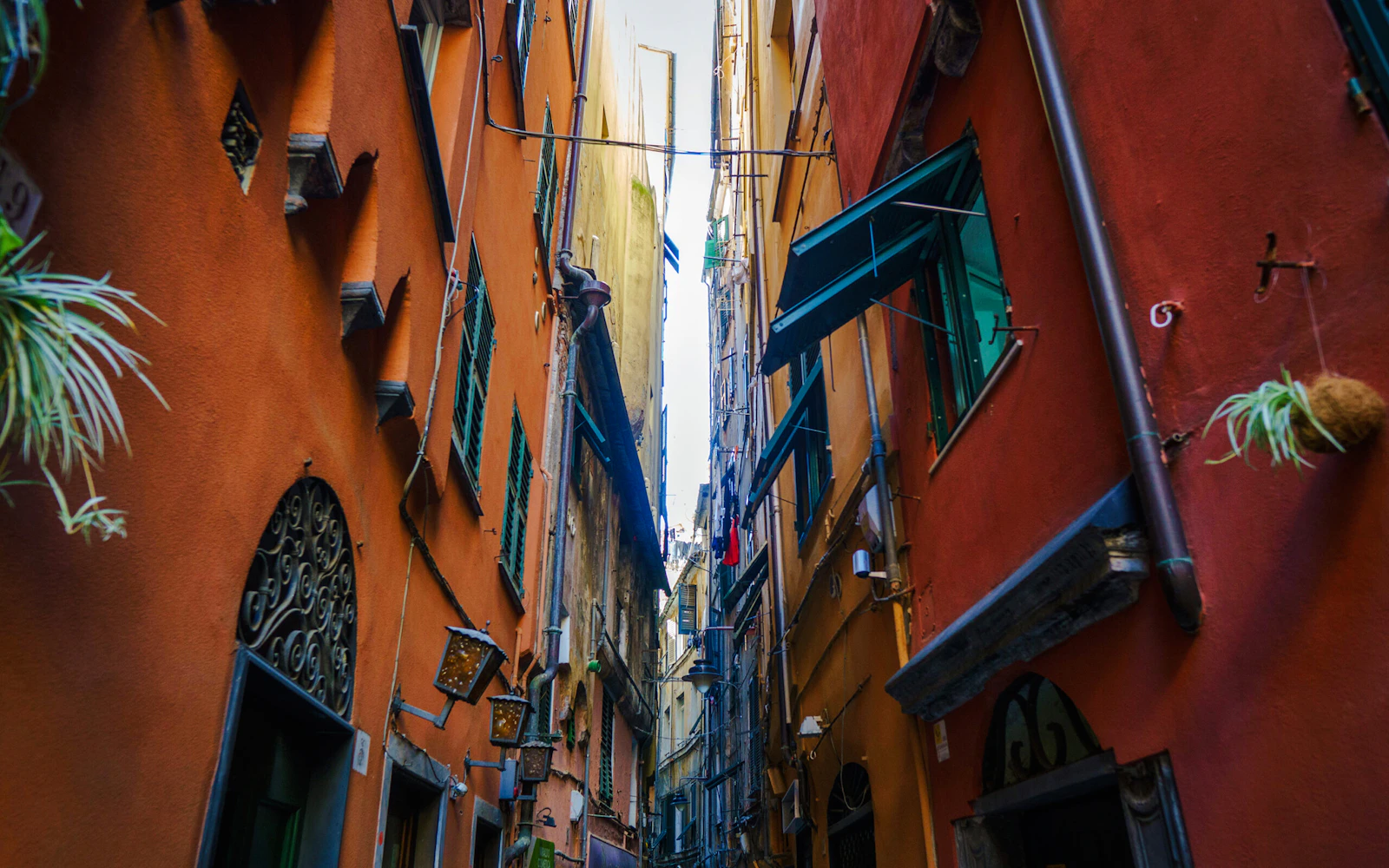 Walking dinner tour in Genova (Product 55939)