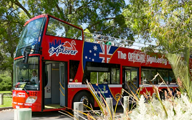 Red double-decker bus for Perth and Kings Park hop-on-hop-off tour.