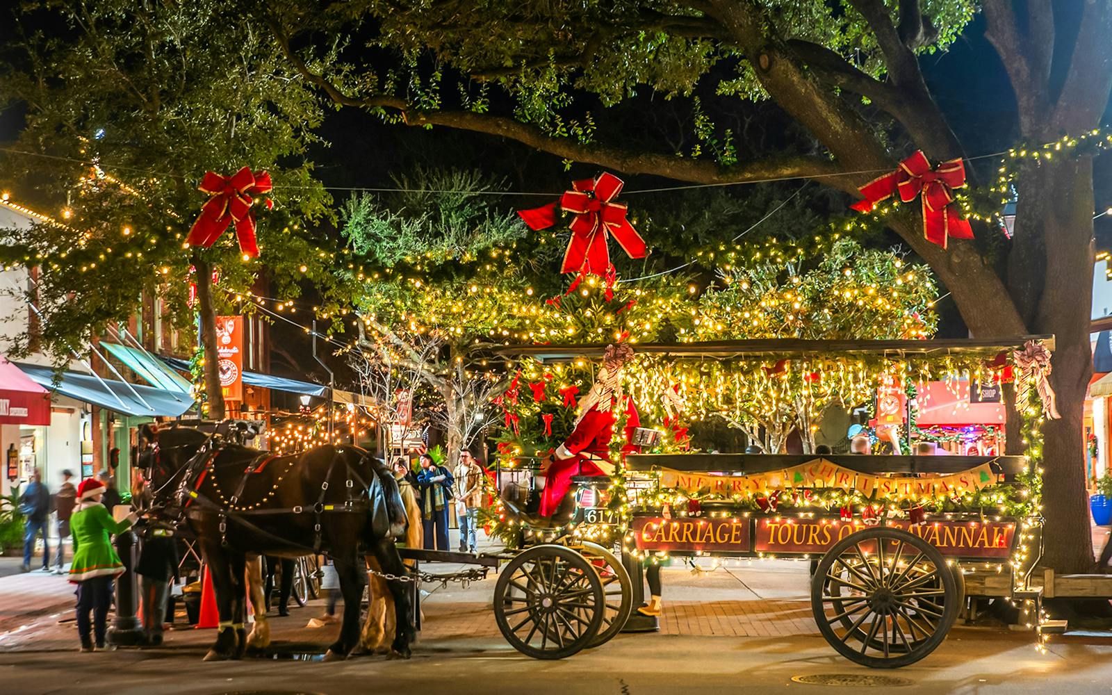 Horse-drawn carriage decorated with holiday lights on Savannah's festive tour.