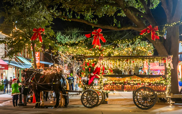 Horse-drawn carriage decorated with holiday lights on Savannah's festive tour.