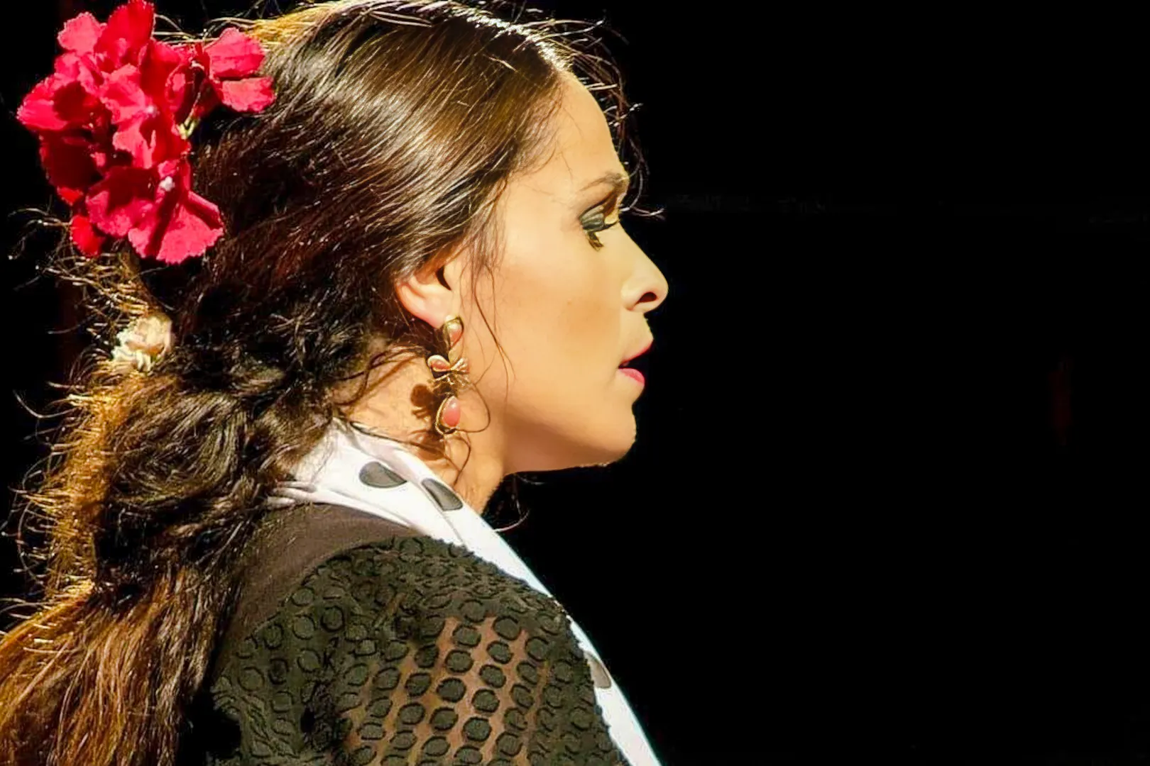 Flamenco dancer performing at Venta el Gallo, wearing traditional attire.