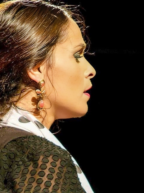 Flamenco dancer performing at Venta el Gallo, wearing traditional attire.