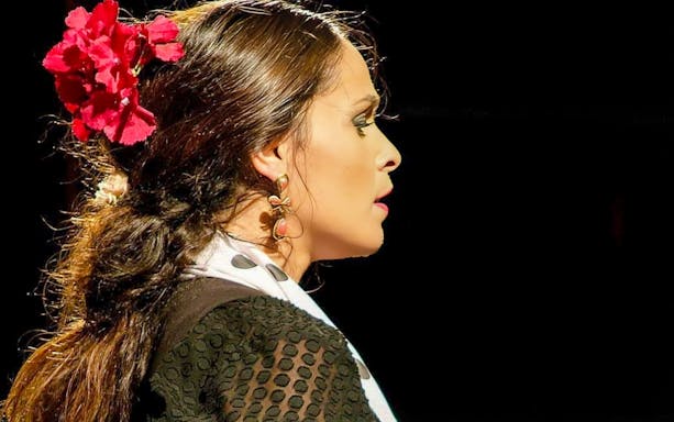Flamenco dancer performing at Venta el Gallo, wearing traditional attire.