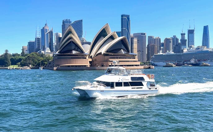 Cruise ship sailing in front of Sydney Opera House with city skyline in background.