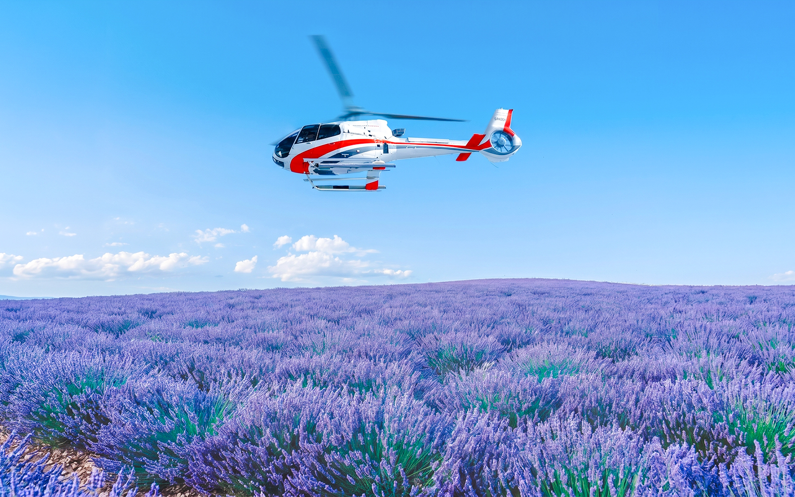 Helicopter flying over lavender fields during a shared panoramic tour.