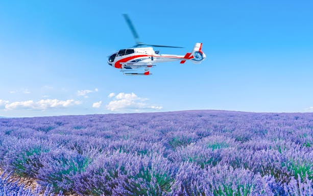 Helicopter flying over lavender fields during a shared panoramic tour.