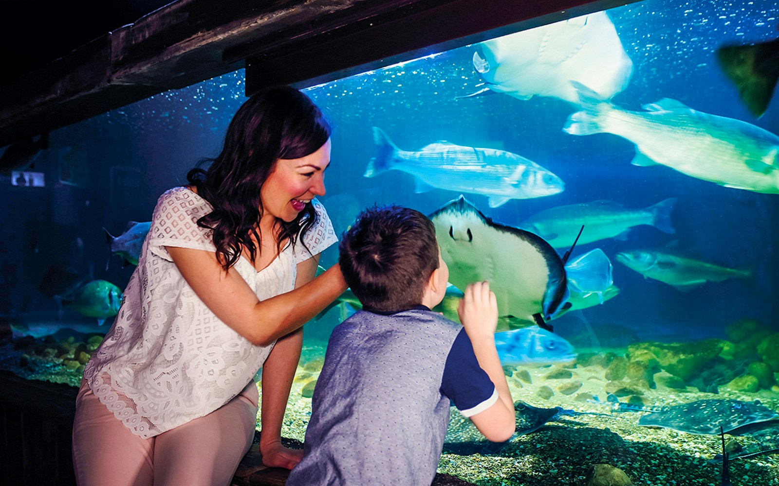 Visitors interacting with marine life at SEA LIFE London aquarium.