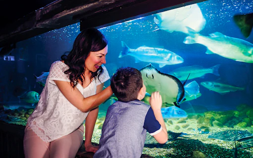 Visitors interacting with marine life at SEA LIFE London aquarium.