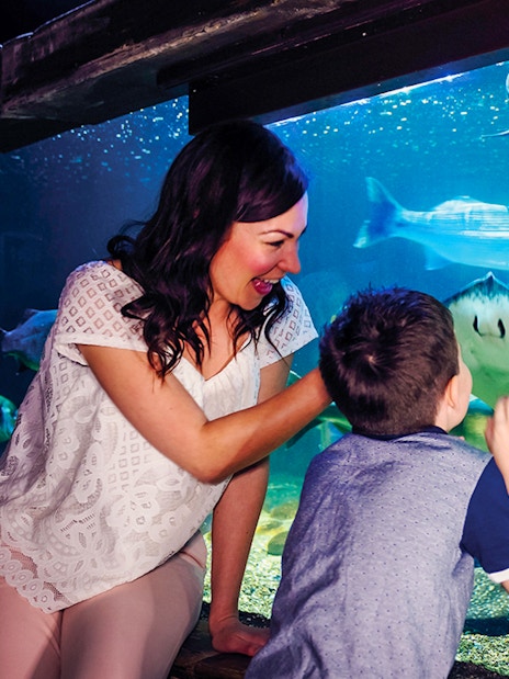 Visitors interacting with marine life at SEA LIFE London aquarium.