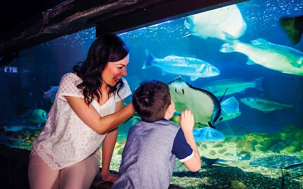 Visitors interacting with marine life at SEA LIFE London aquarium.