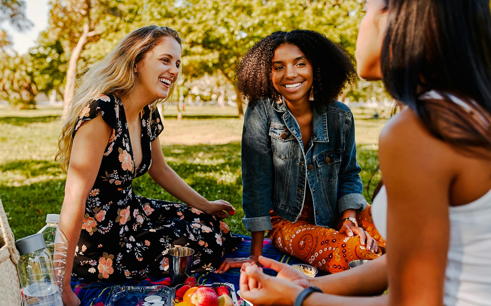 Friends enjoying a picnic at sunset near Hollywood Bowl, LA.