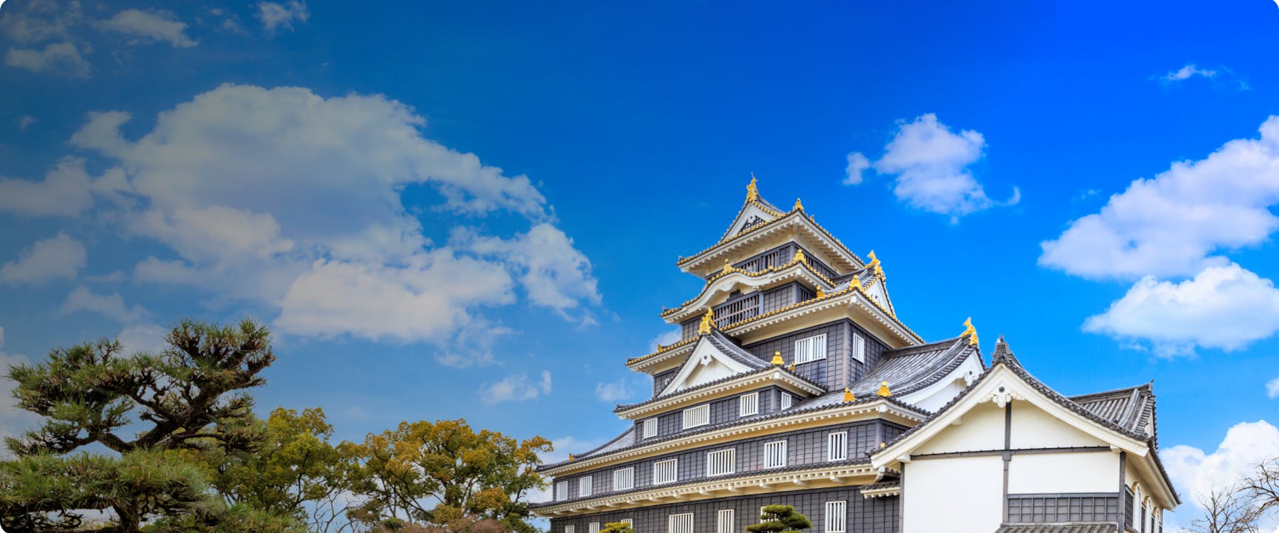 Okayama Castle with surrounding cherry blossoms in Okayama, Japan.