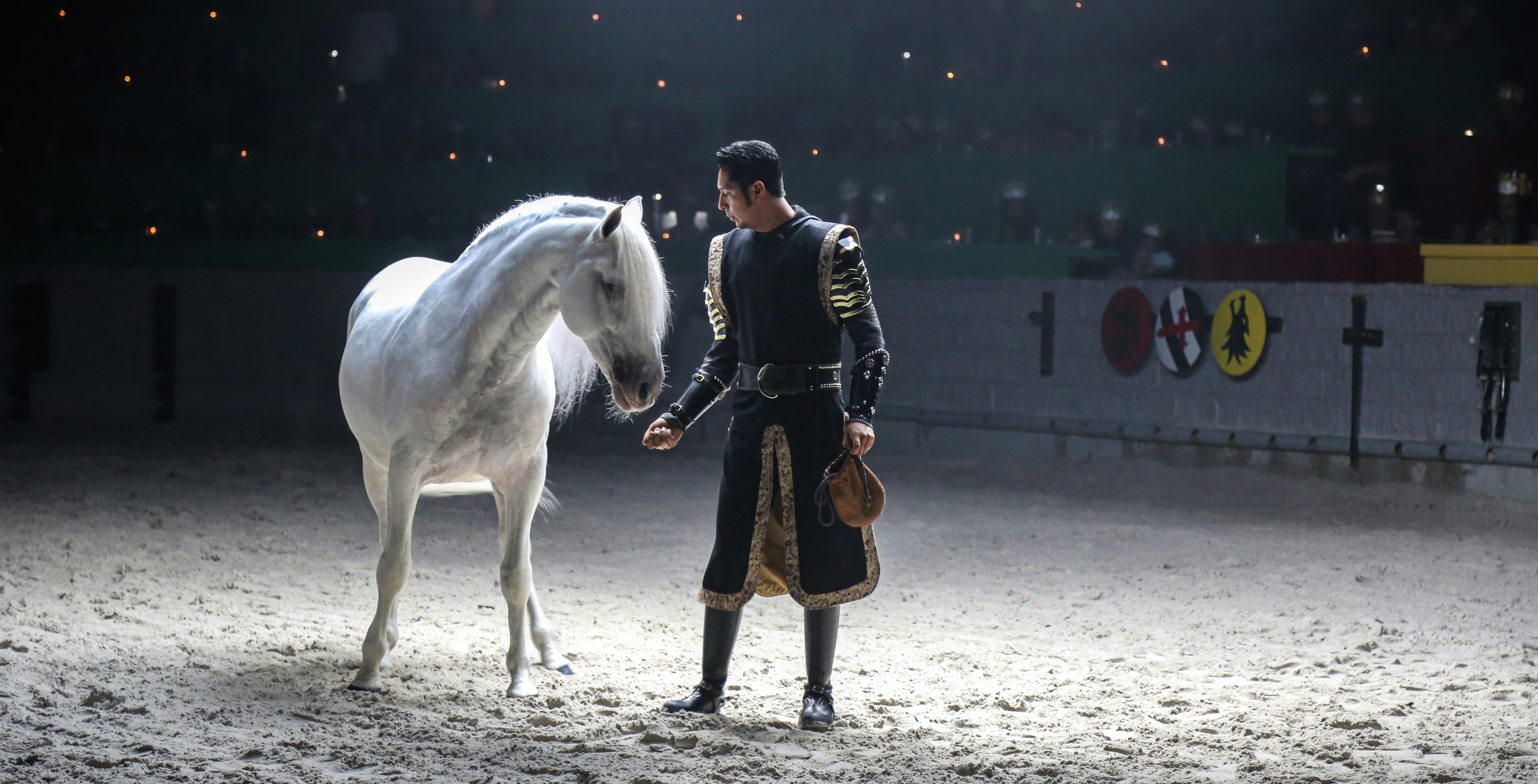 Knight performing with a white horse at Medieval Times Dinner and Show.