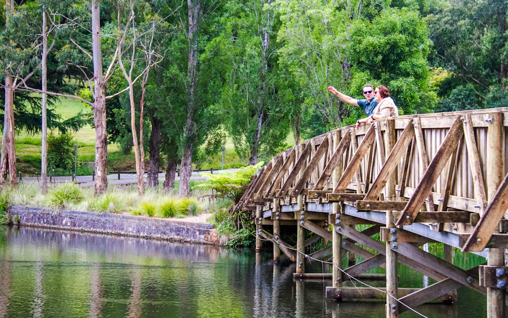 Couple on Lakeside discovery walk bridge, part of Puffing Billy tour, Melbourne.